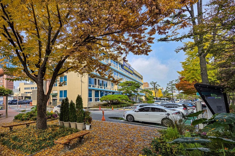 대전 중구, 성심당 주변 활성화를 위...