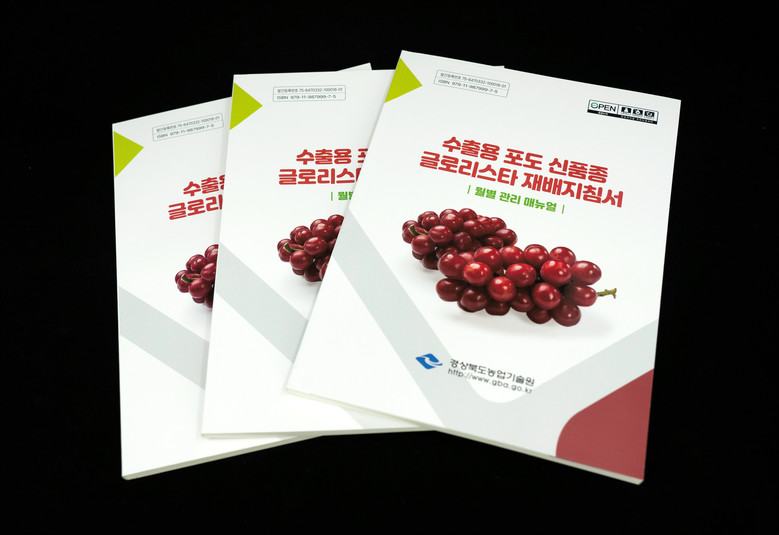 경북도, 수출용 포도 신품종 ‘글로리...