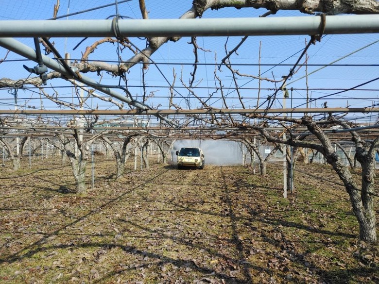 충남 지역 배 과수원 월동 해충 방제...