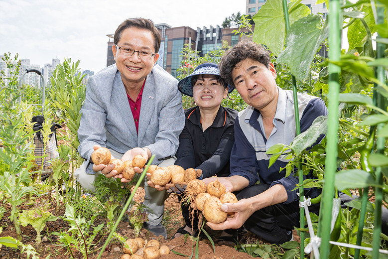 “도심 속 금싸라기 땅, 텃밭으로 내...